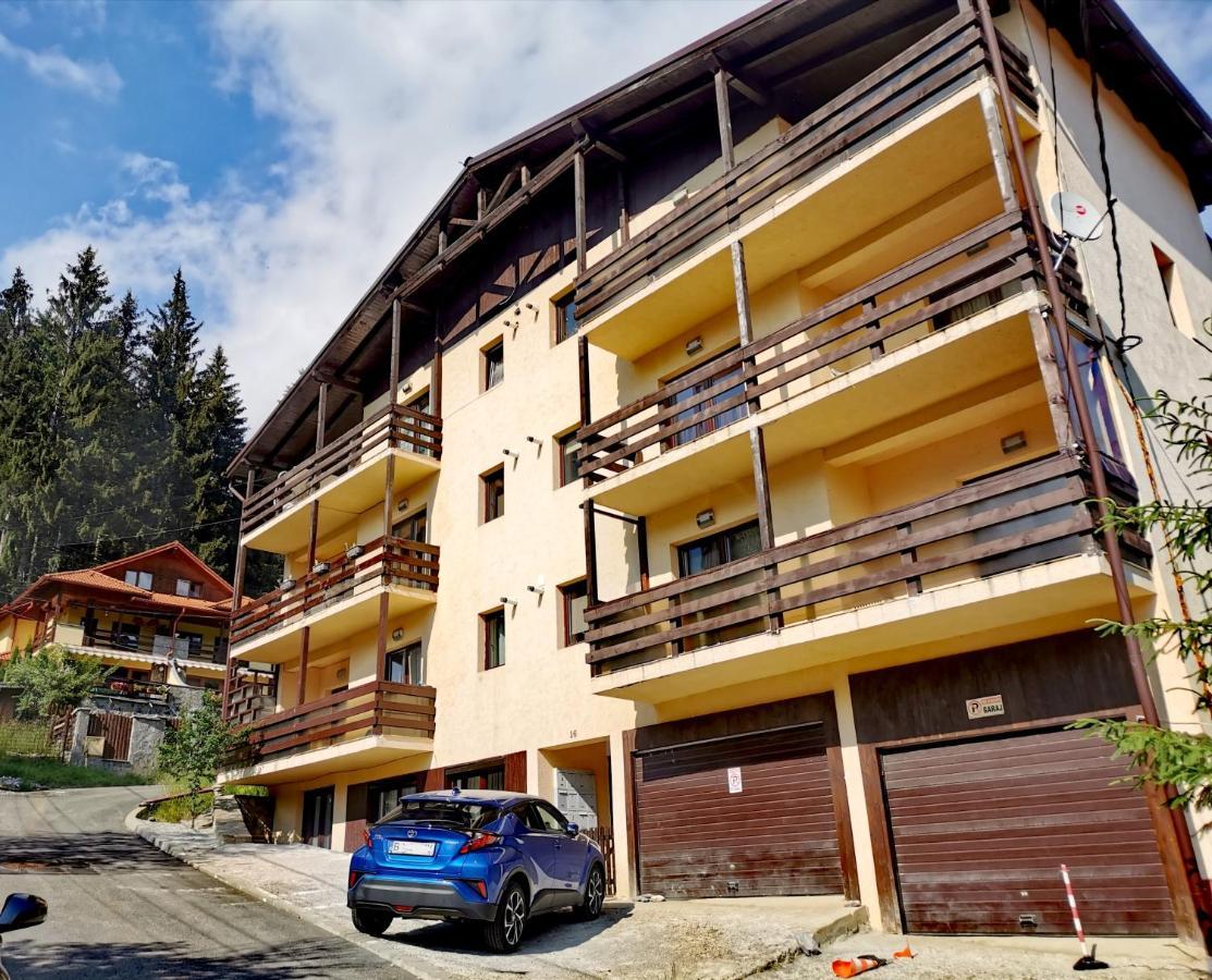 Studio Azuga Exterior photo